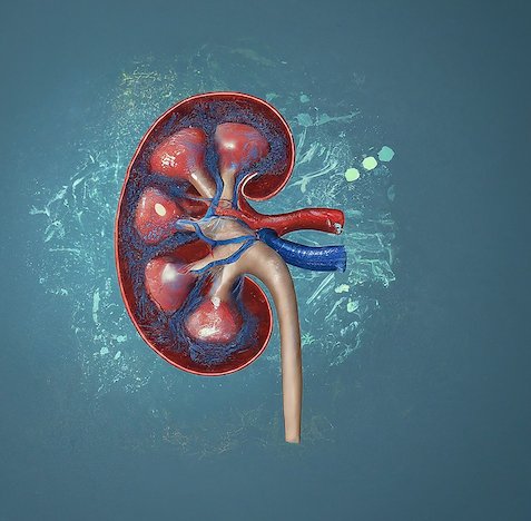 Profile Picture of Dr Vivian Mah